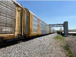 TTGX 699068